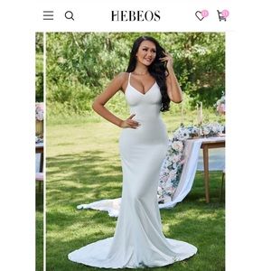 NWT- Hebeos Wedding Dress- size 10 inch: Bust:36.5 Waist:29.5 Hips:39.75